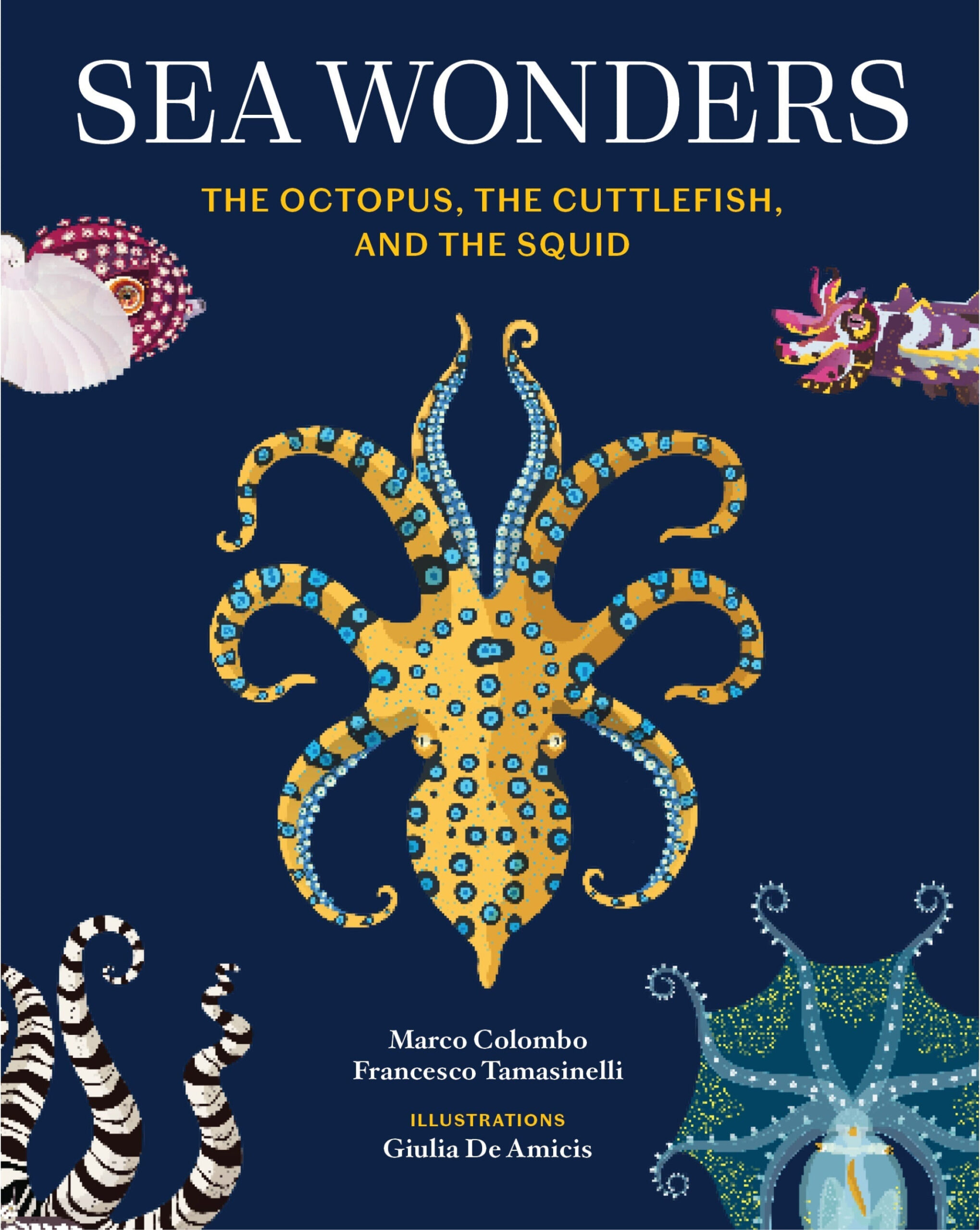 Sea Wonders