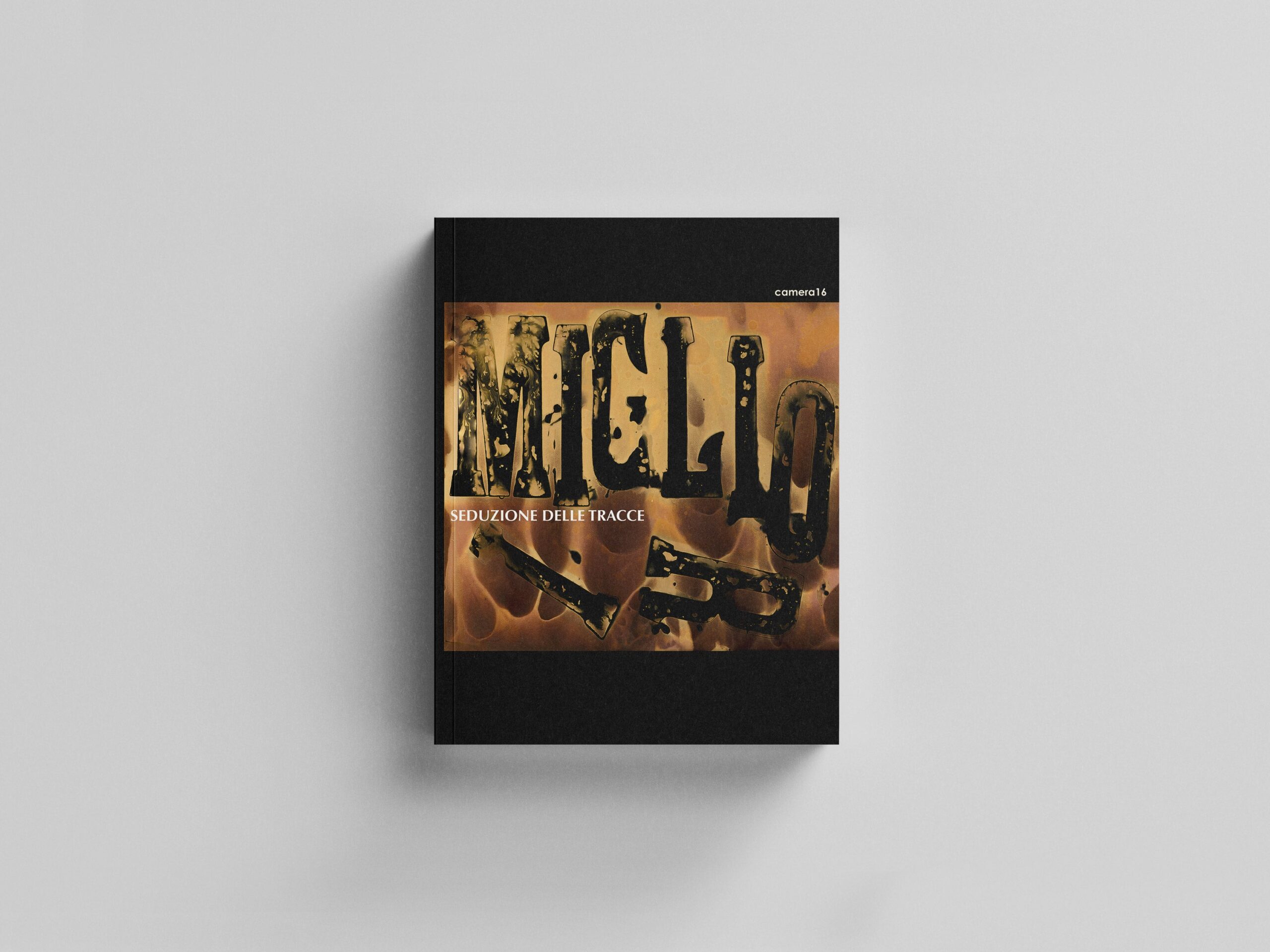 Seduzione delle tracce cover