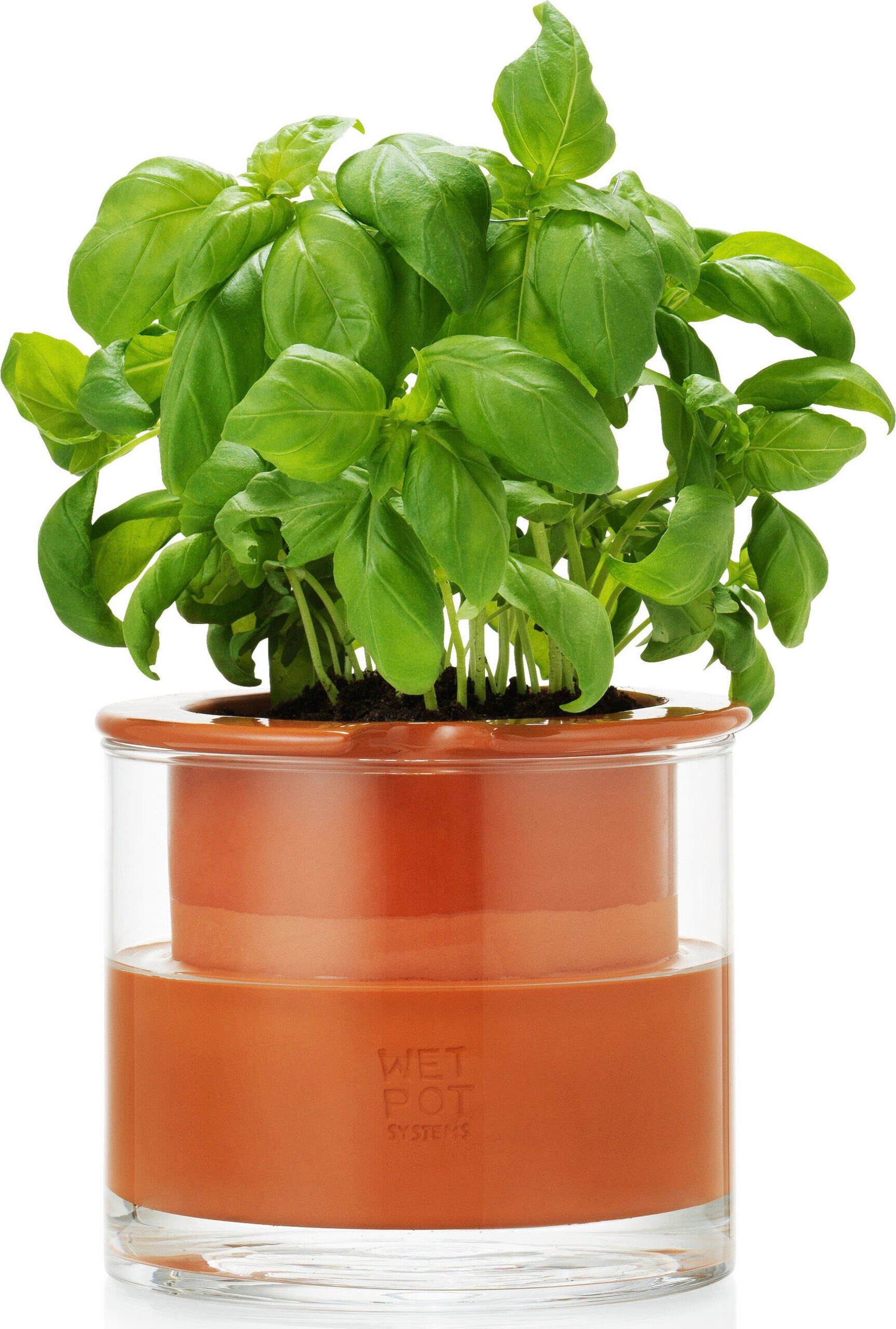 Self-Watering Wet Pots – Small cover