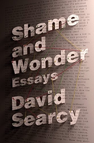 Shame and Wonder: Essays cover