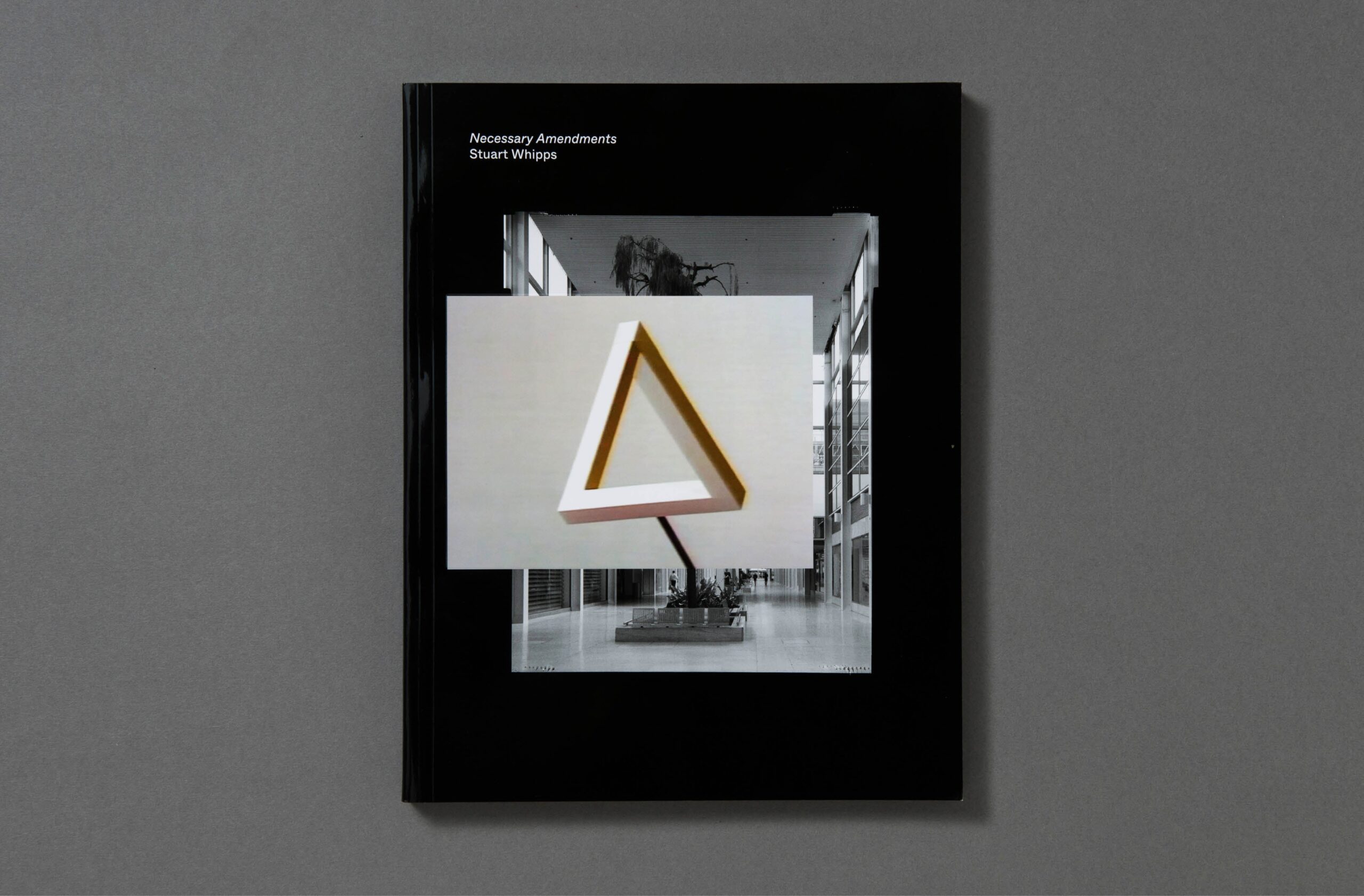 Stuart Whipps – Necessary Amendments cover