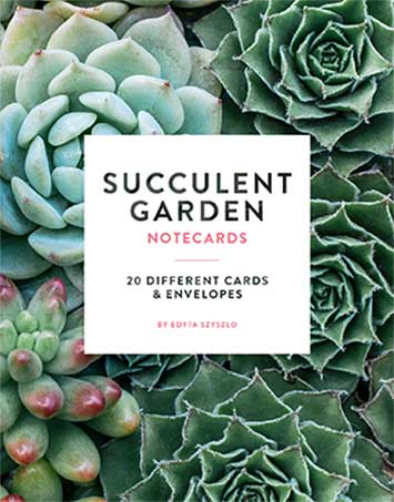 Succulent Garden Notecards cover
