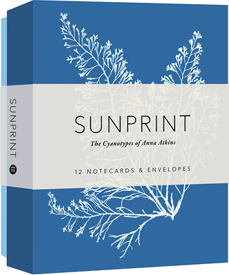 Sunprint Notecards