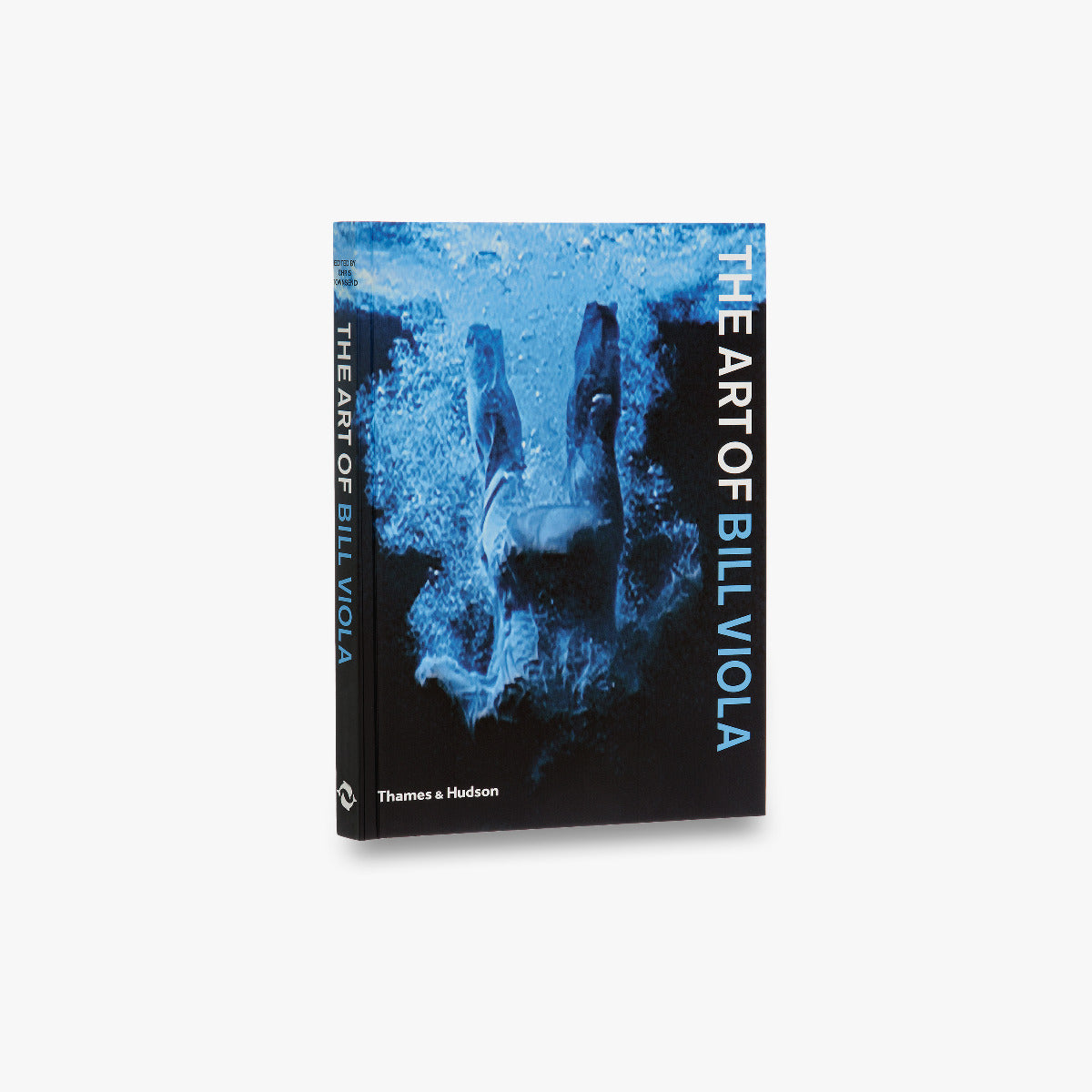 Bill Viola