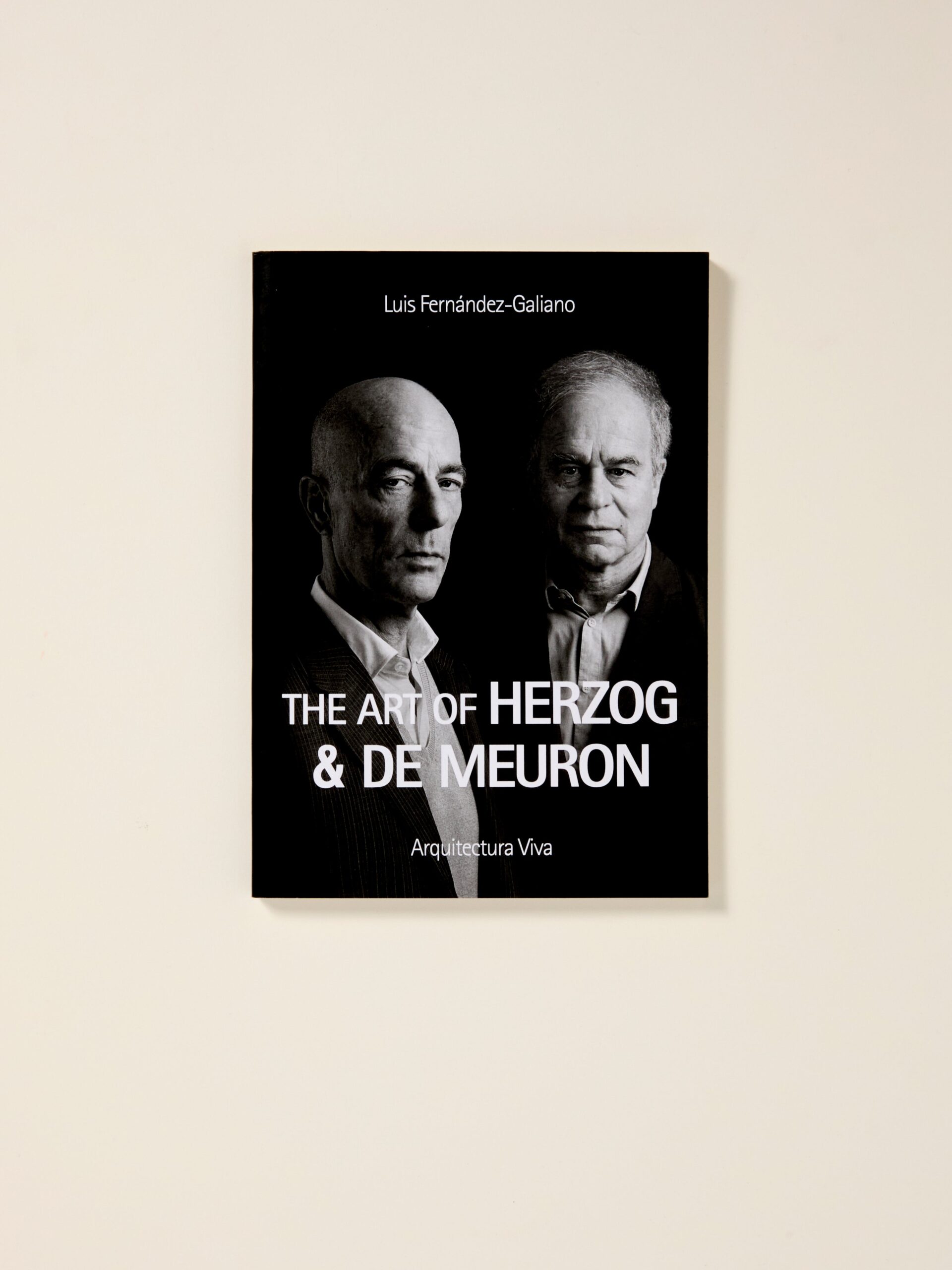 The Art of Herzog & de Meuron