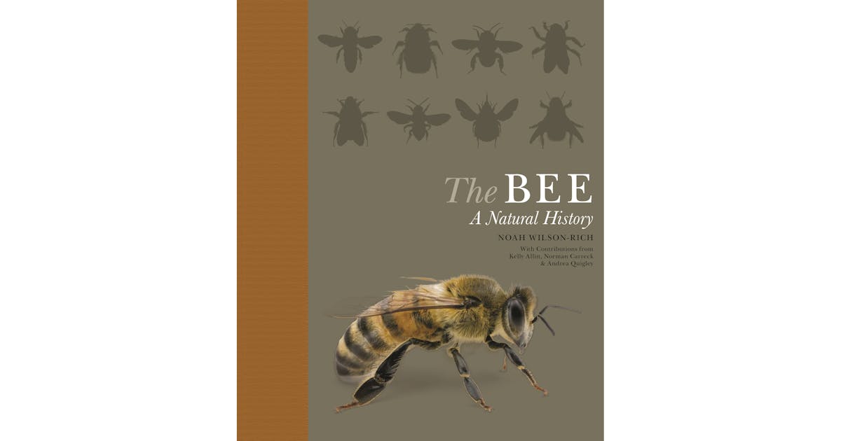 The Bee: A Natural History cover