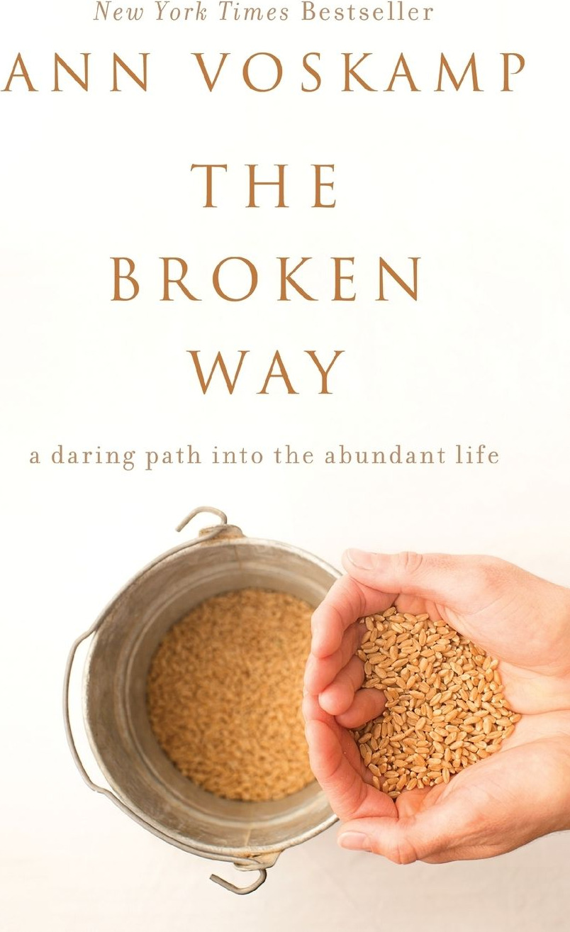 The Broken Way: A Daring Path into the Abundant Life (International Edition – DO NOT ORDER) cover