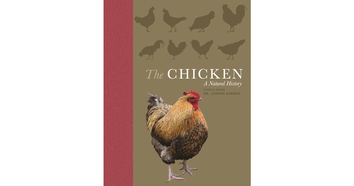 The Chicken: A Natural History cover