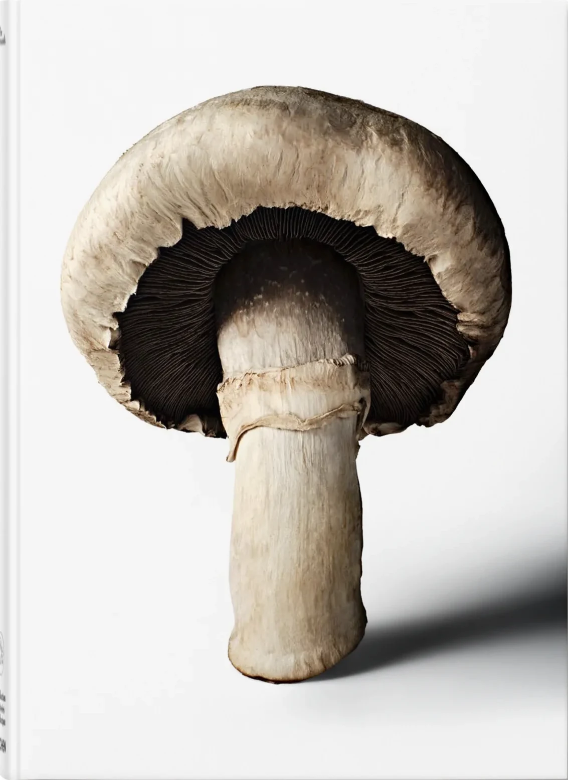 The Gourmand’s Mushroom: A Collection of Stories and Recipes