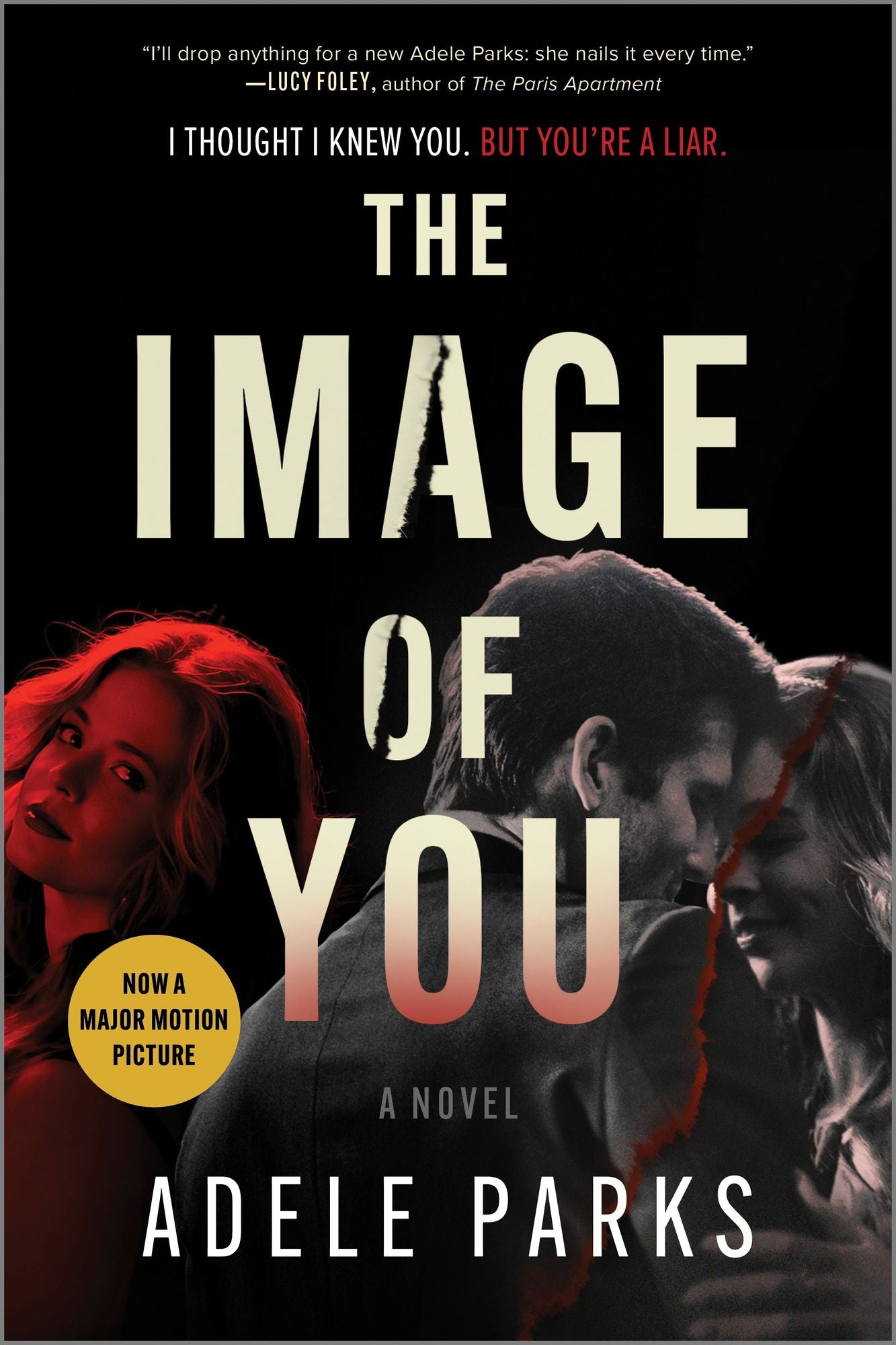 The Image of You: A Novel cover
