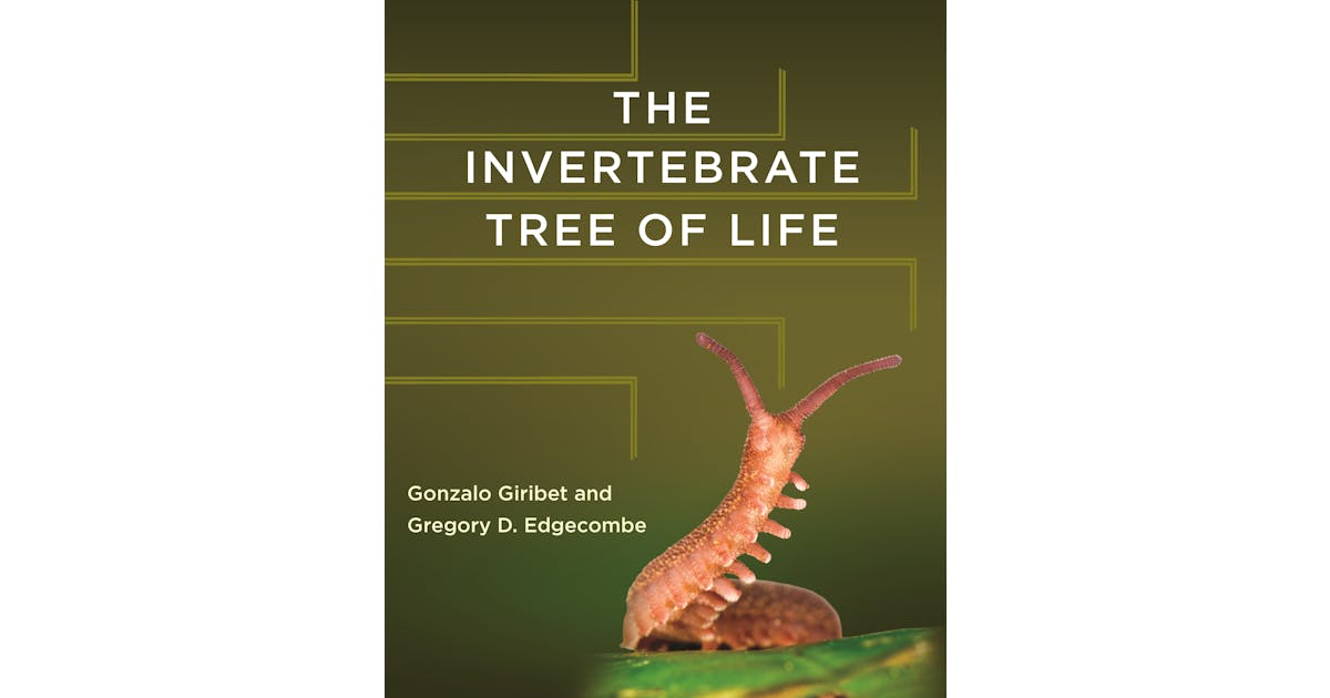 The Invertebrate Tree of Life cover