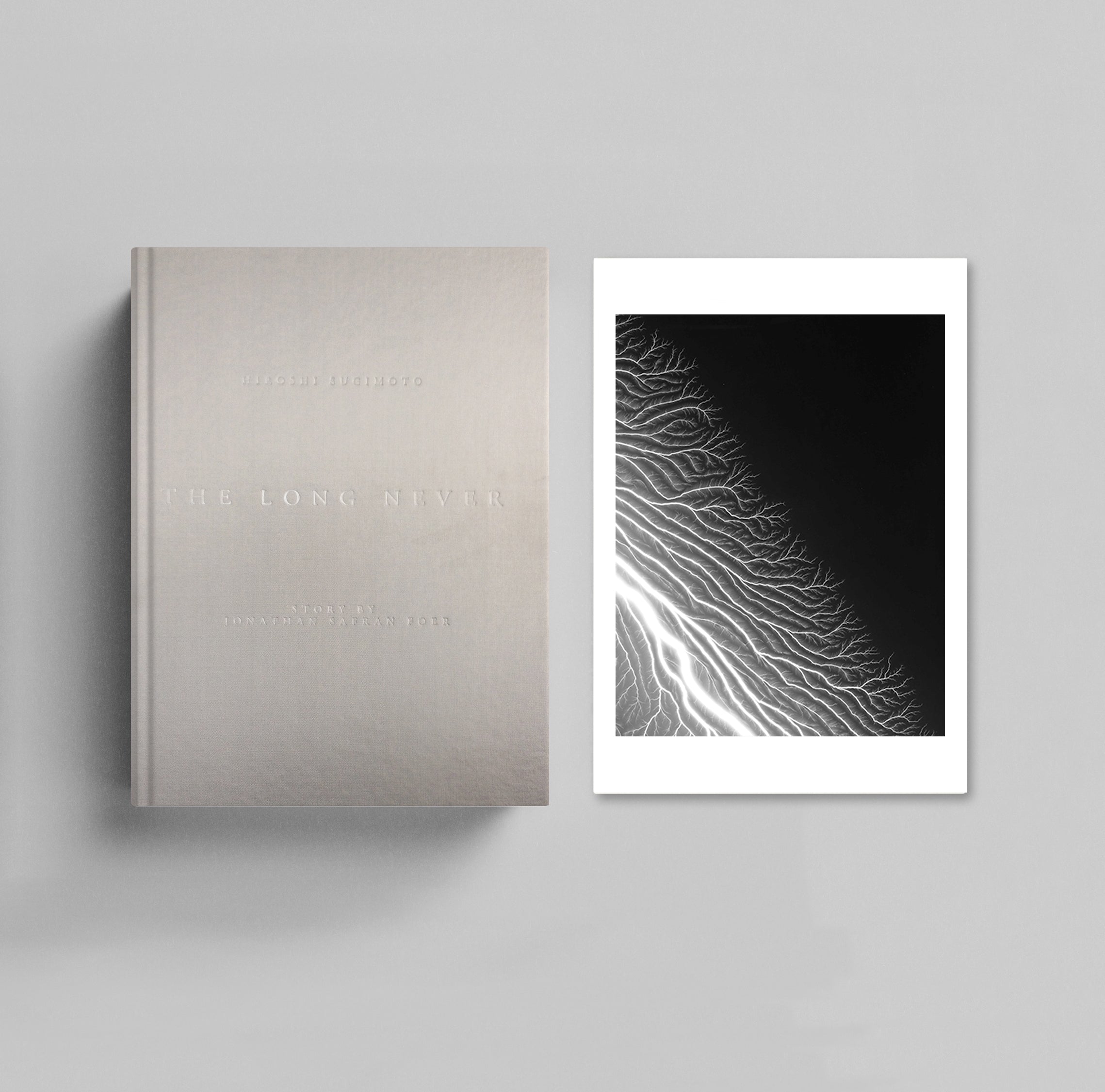 The Long Never | Collector’s Edition cover