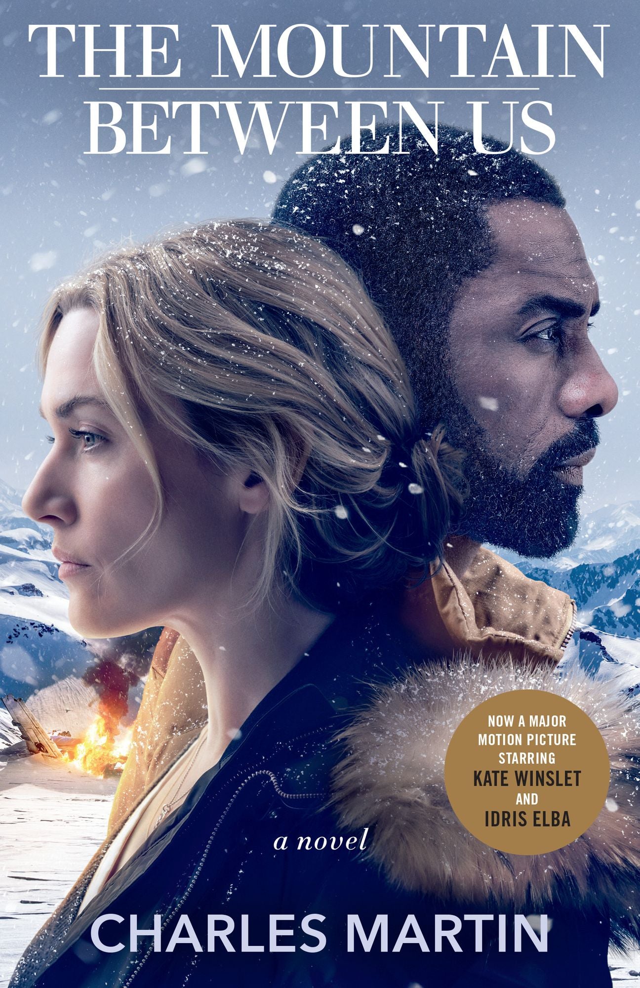 The Mountain Between Us cover