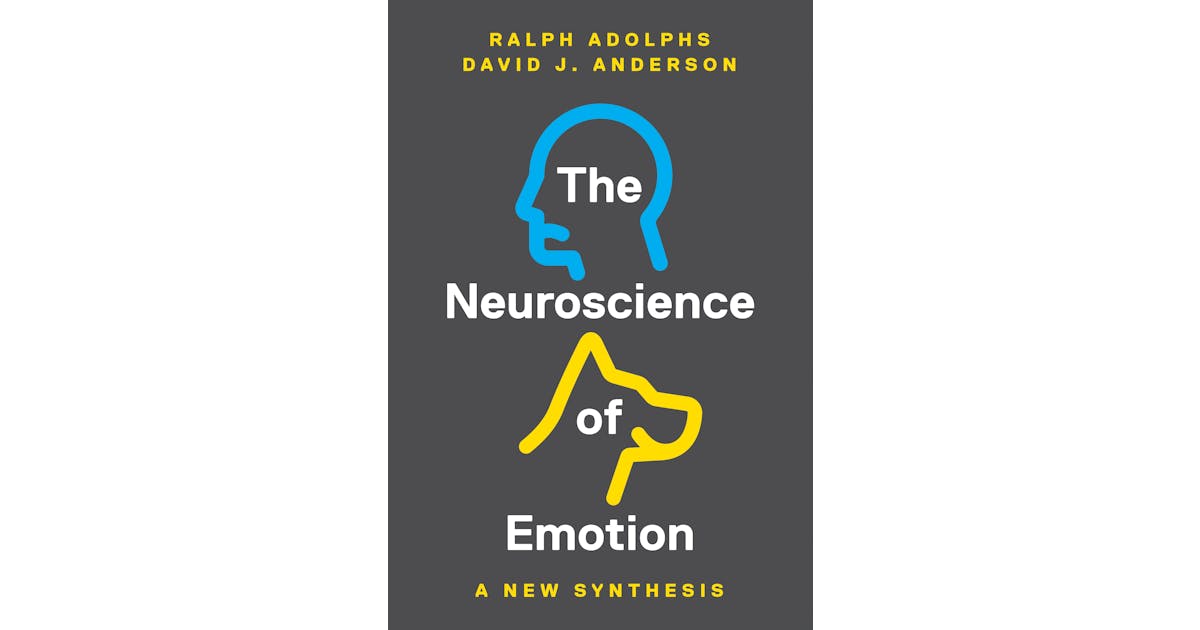 The Neuroscience of Emotion: A New Synthesis