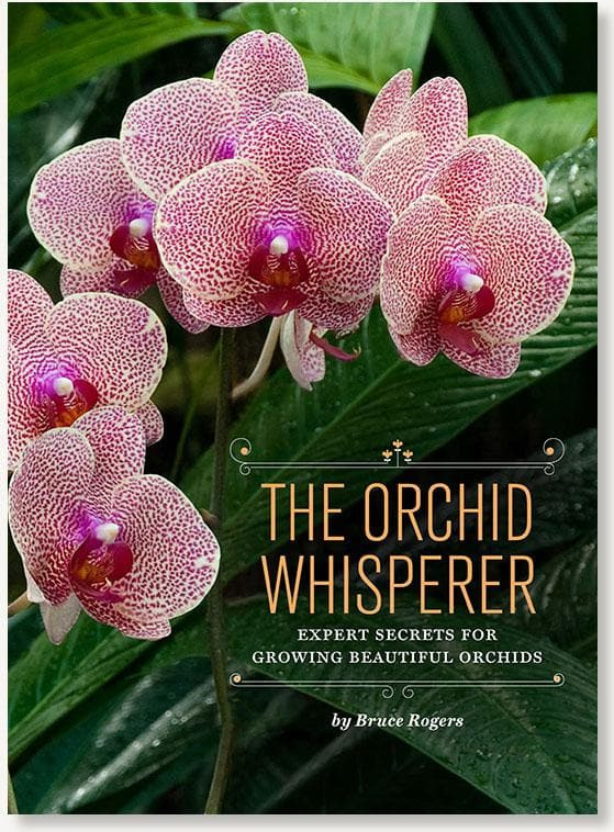 The Orchid Whisperer cover