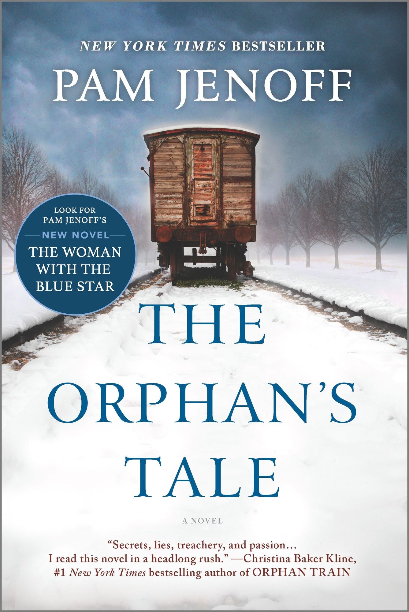 The Orphan’s Tale: A Novel cover