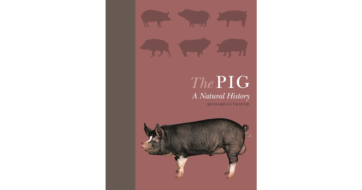 The Pig: A Natural History cover