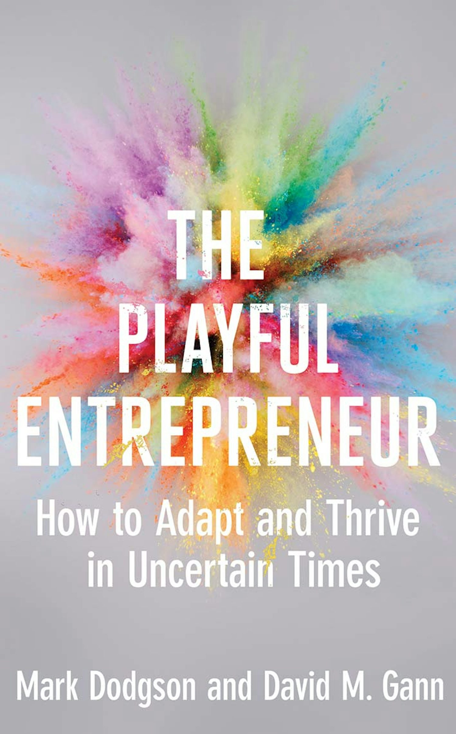 The Playful Entrepreneur cover