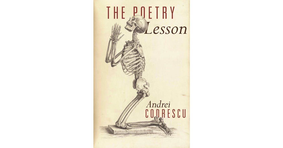 The Poetry Lesson cover