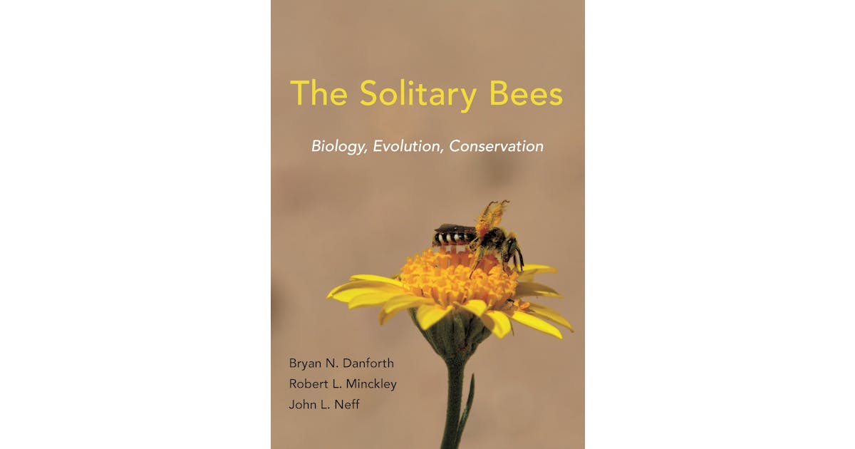 The Solitary Bees: Biology, Evolution, Conservation cover