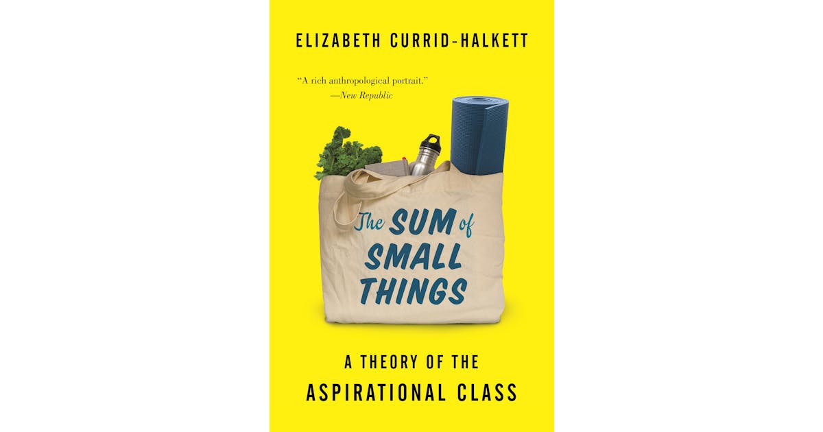 The Sum of Small Things: A Theory of the Aspirational Class cover