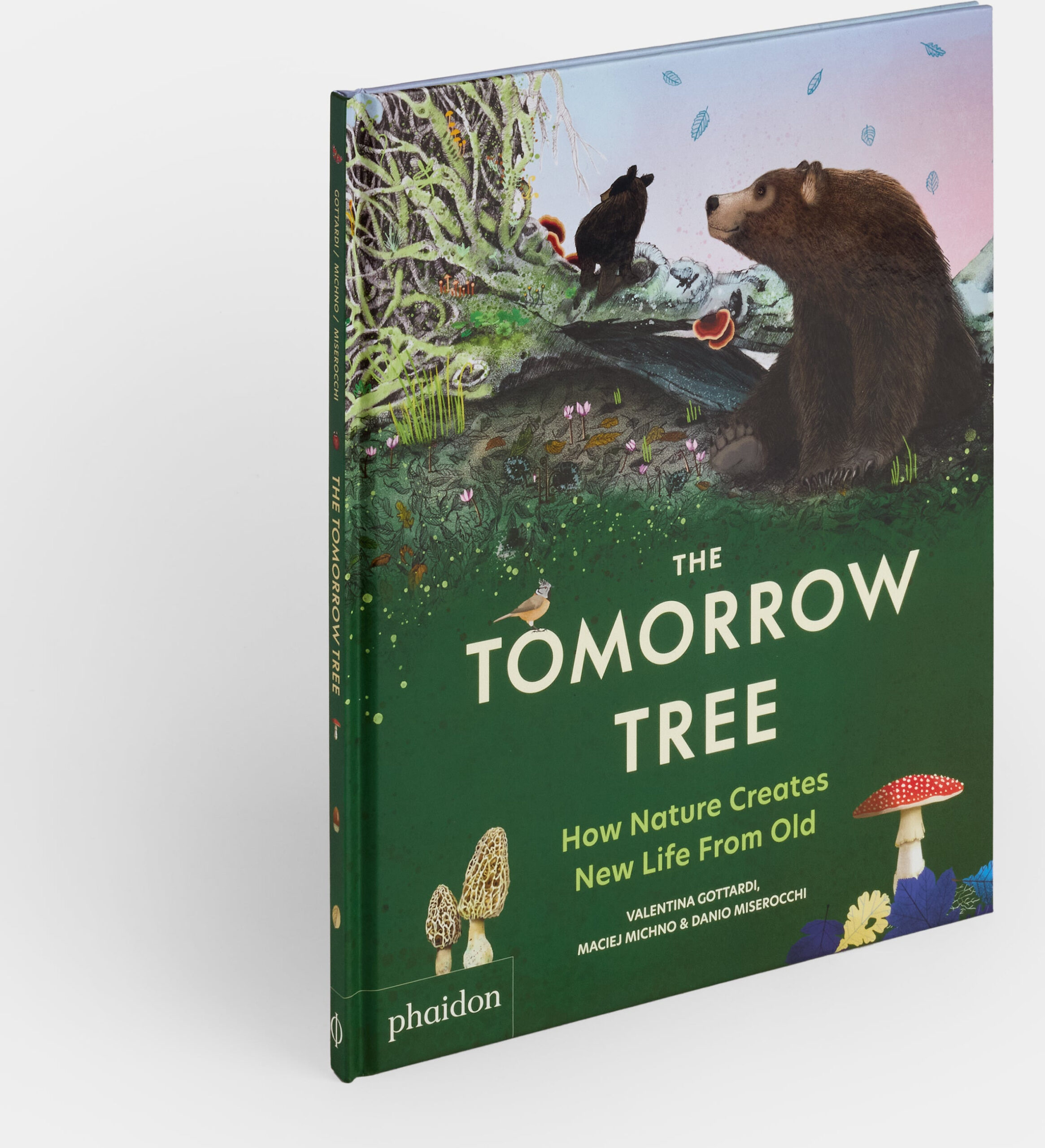 The Tomorrow Tree: How Nature Creates New Life From Old