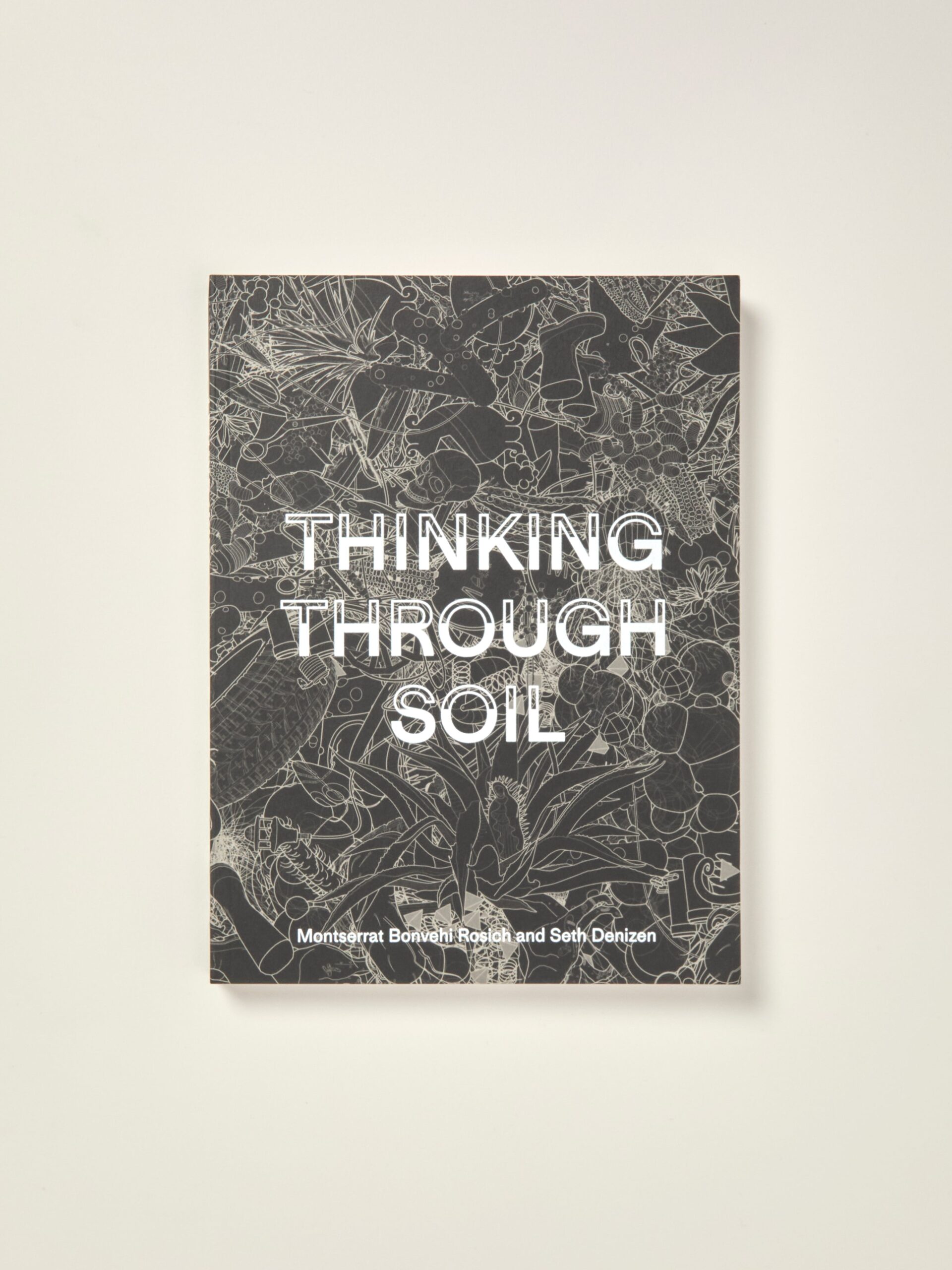 Thinking Through Soil: Wastewater Agriculture in the Mezquital Valley