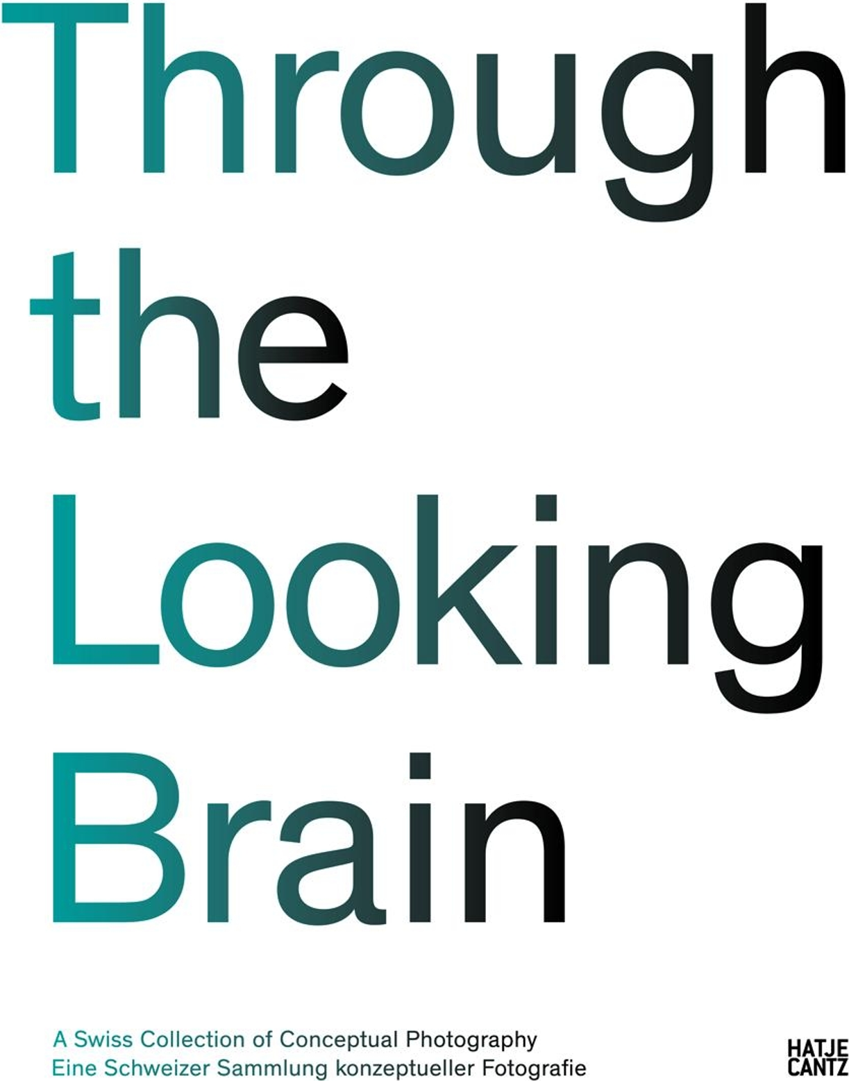 Through the Looking Brain