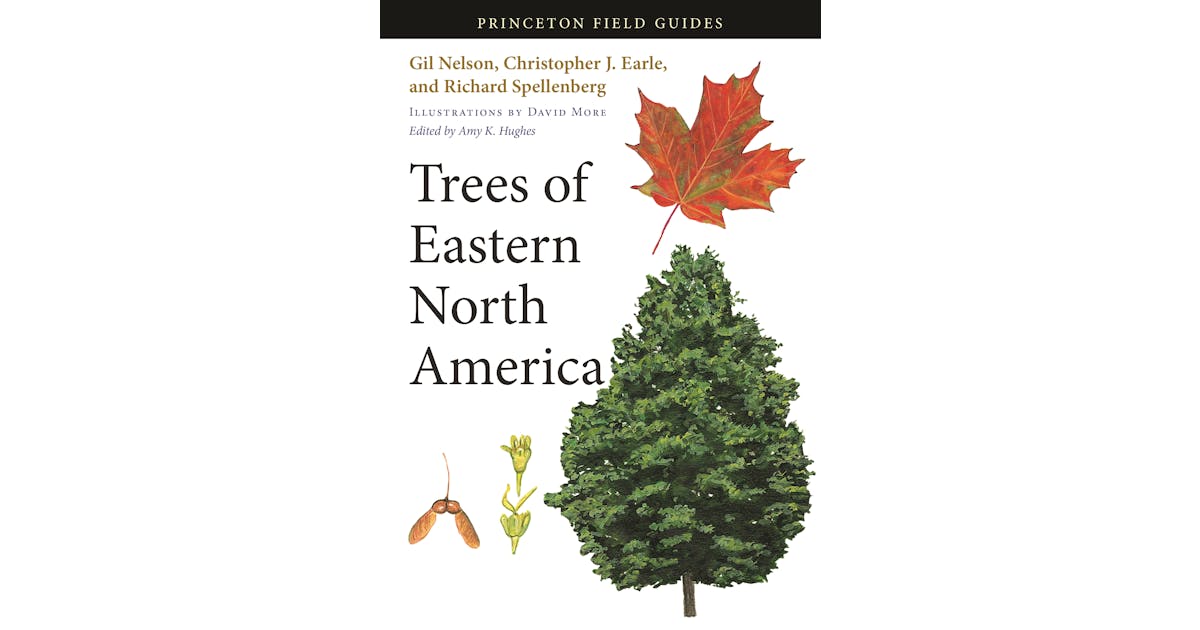 Trees of Eastern North America cover