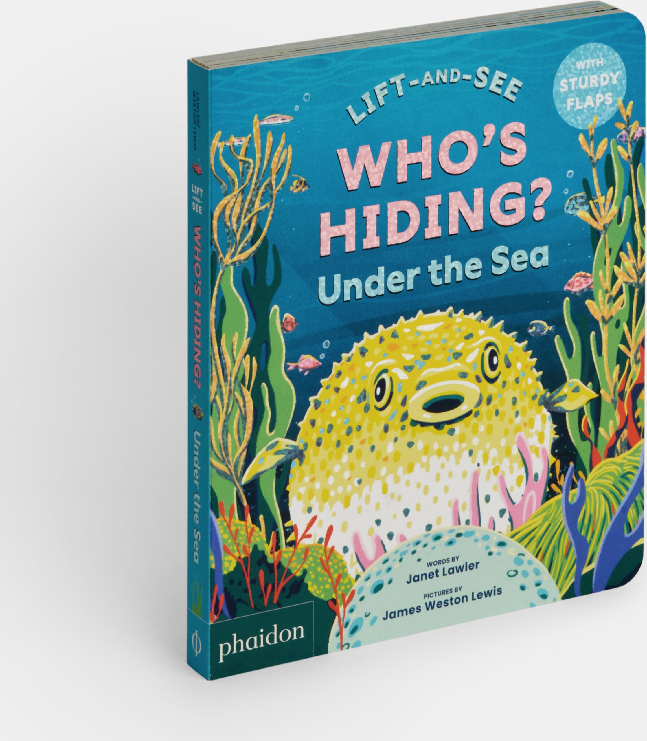 Who’s Hiding? Under the Sea: A Lift-the-Flap Book