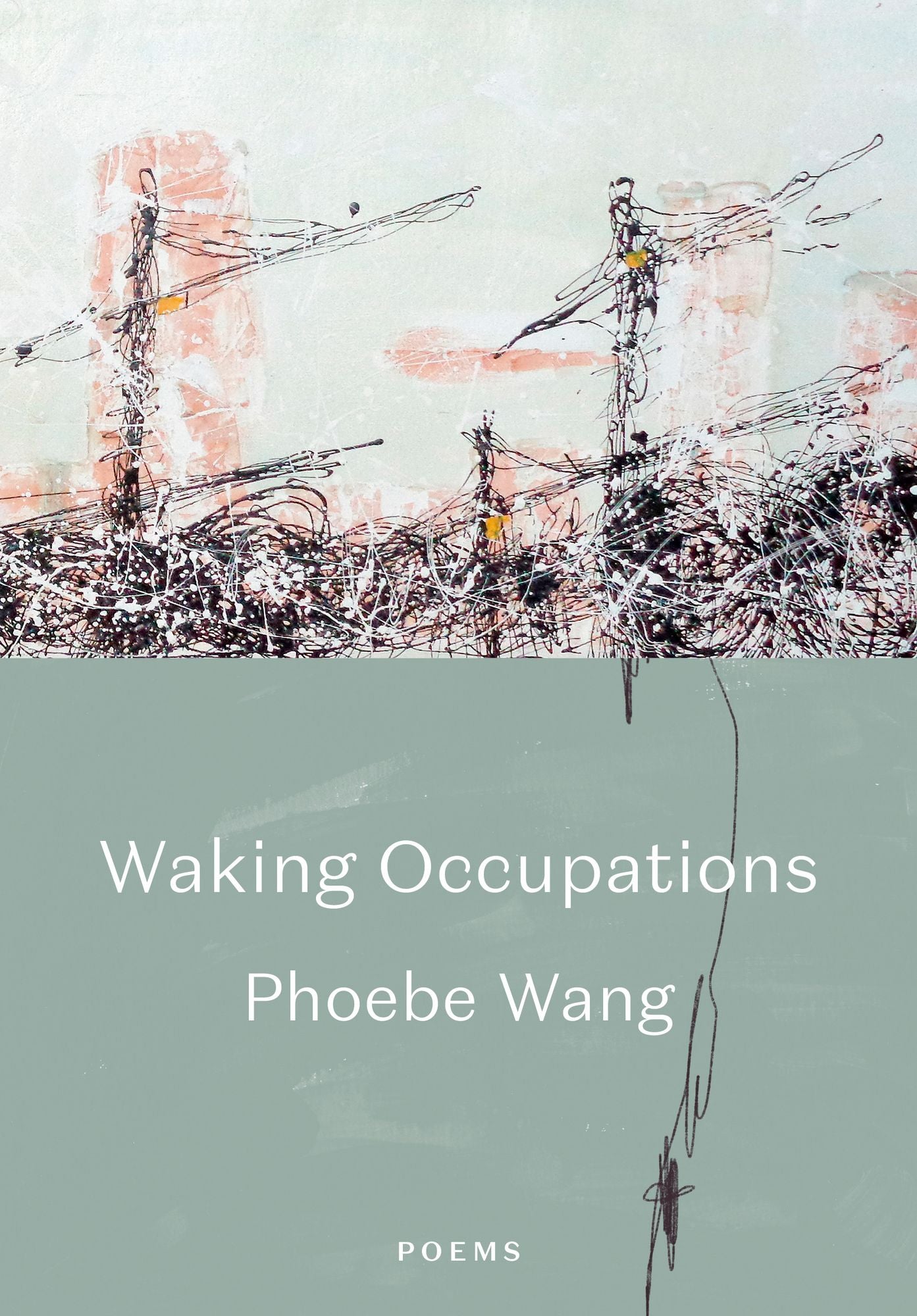 Waking Occupations: Poems cover
