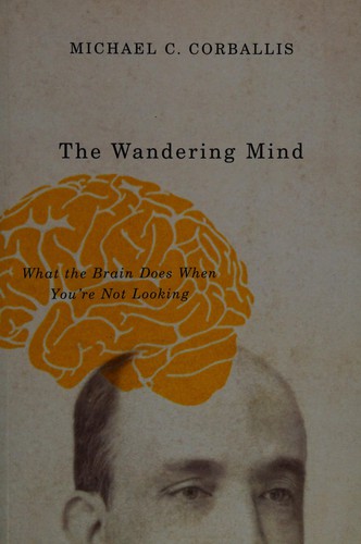 Wandering Mind: What the Brain Does When You’re Not Looking