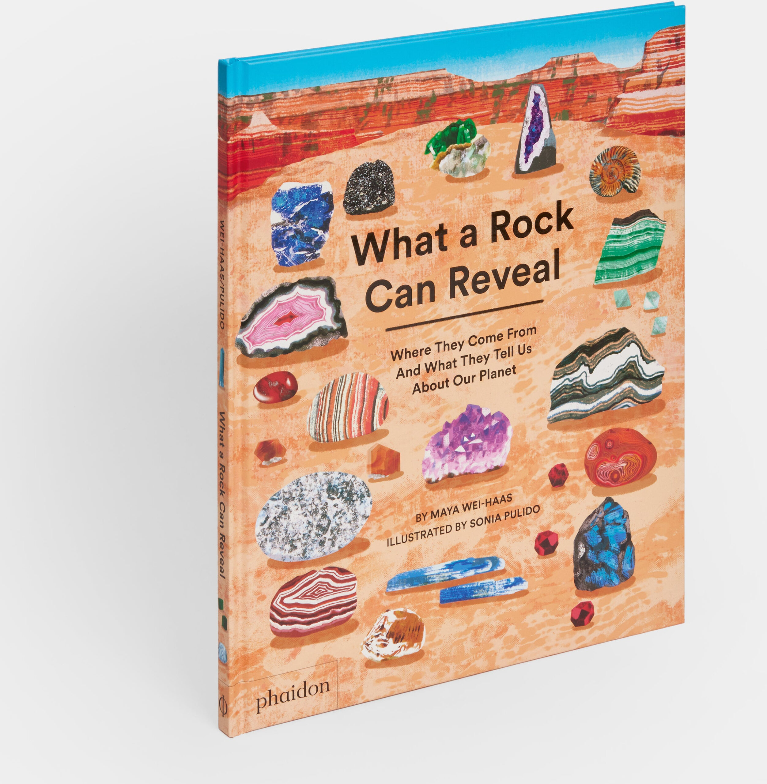 What a Rock Can Reveal: Where They Come From And What They Tell Us About Our Planet