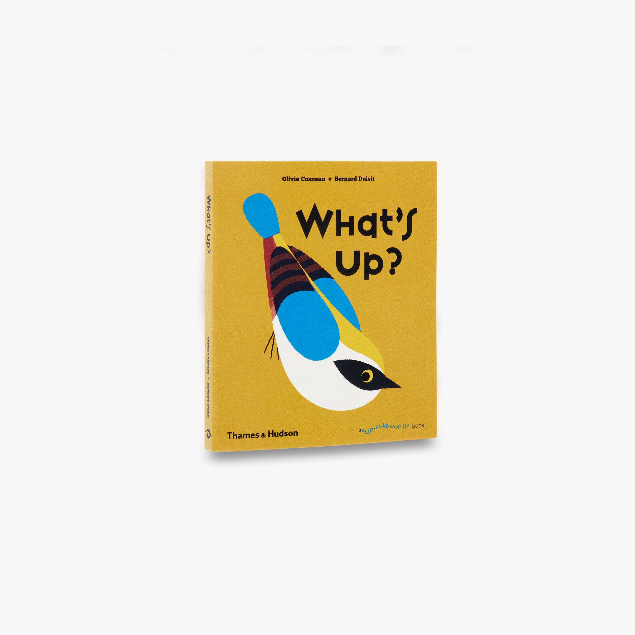 What’s Up? (A Flip Flap Pop Up Book)