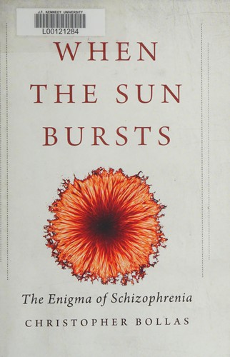 When the Sun Bursts: The Enigma of Schizophrenia cover