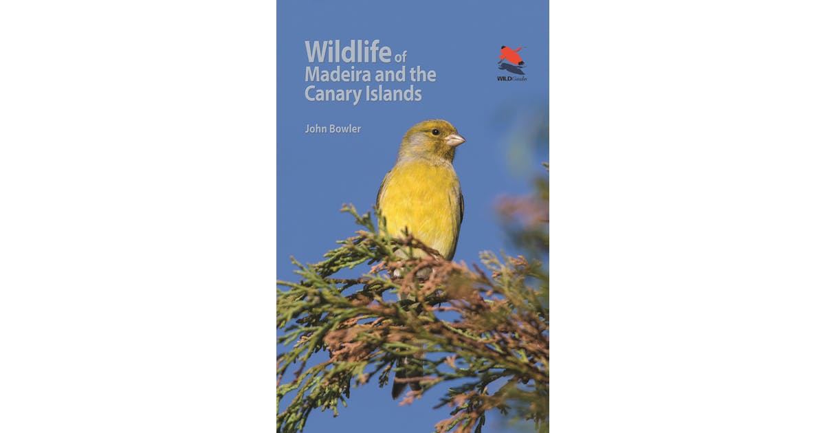 Wildlife of Madeira and the Canary Islands: A Photographic Field Guide to Birds, Mammals, Reptiles, Amphibians, Butterflies and Dragonflies cover