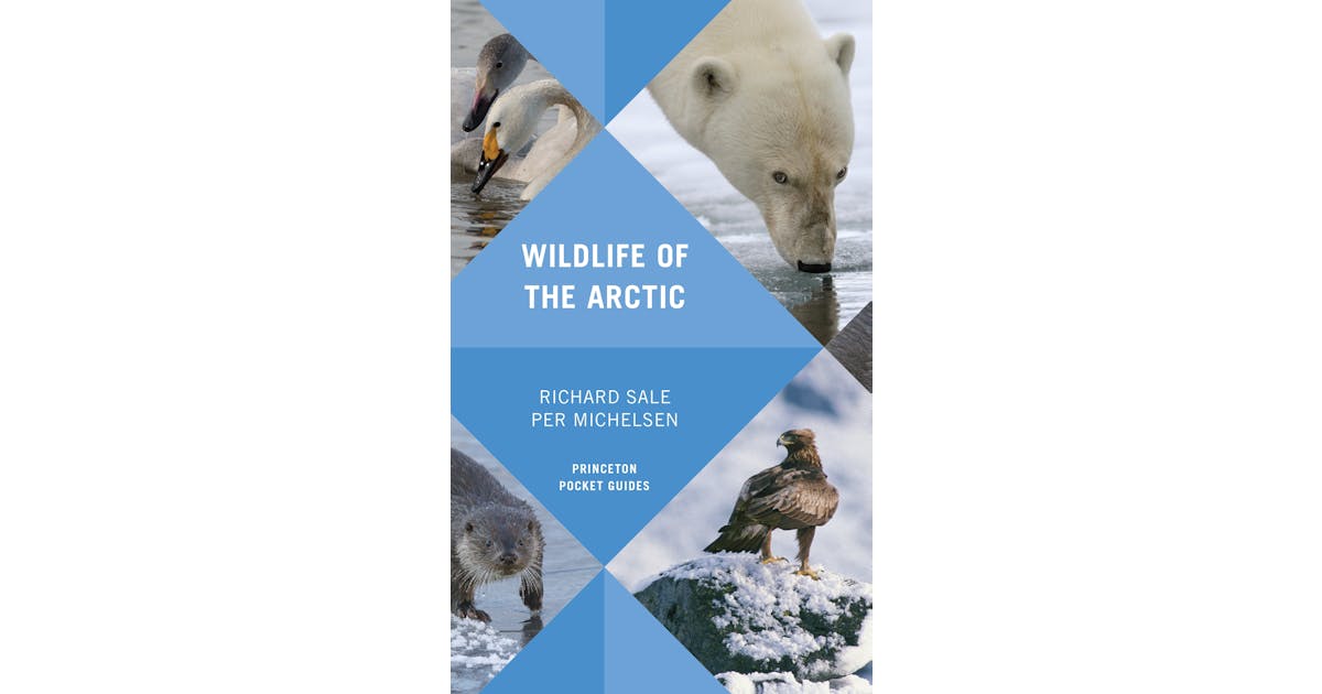 Wildlife of the Arctic