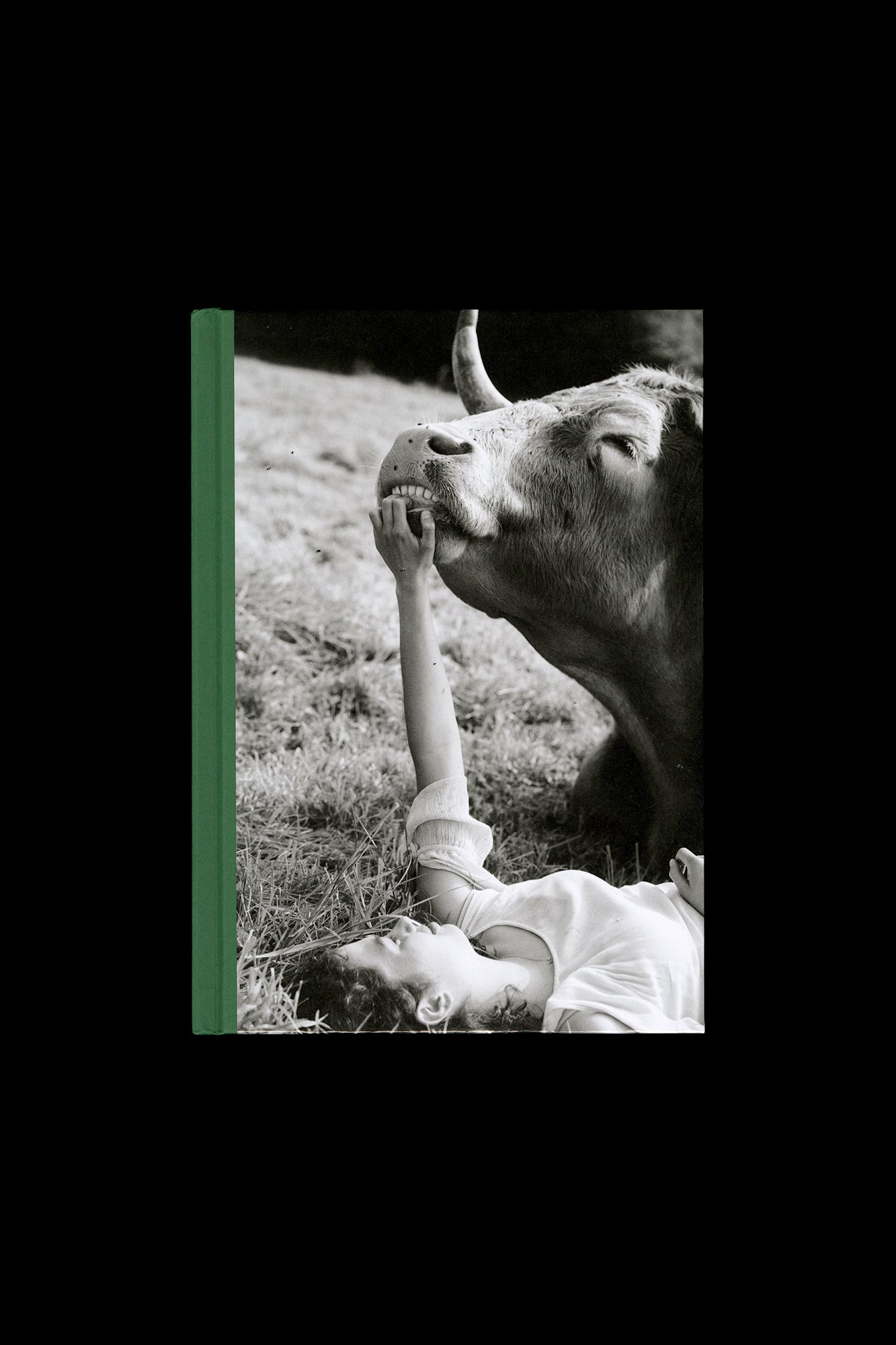 Yana Wernicke: Companions
