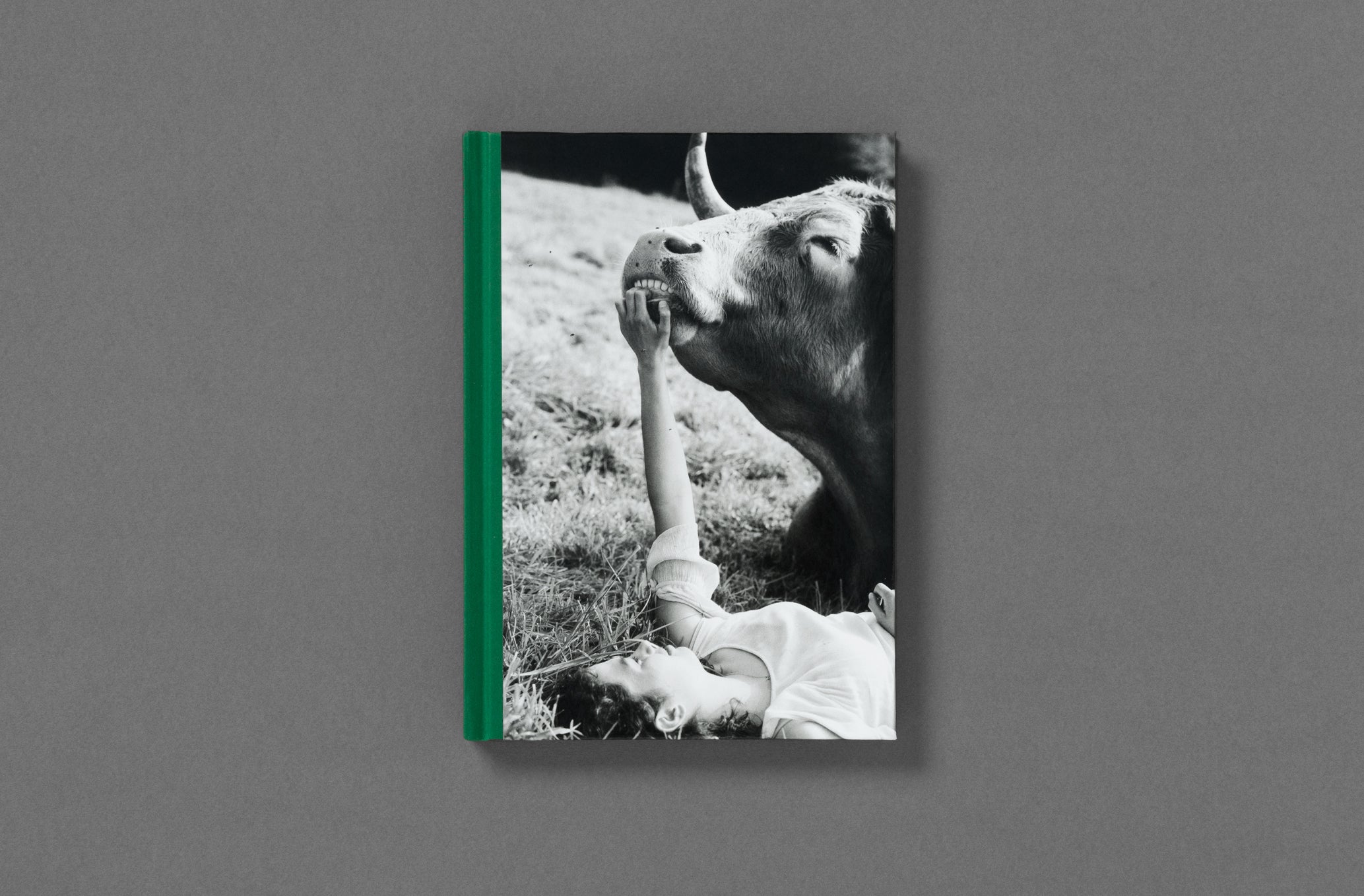 Yana Wernicke – Companions