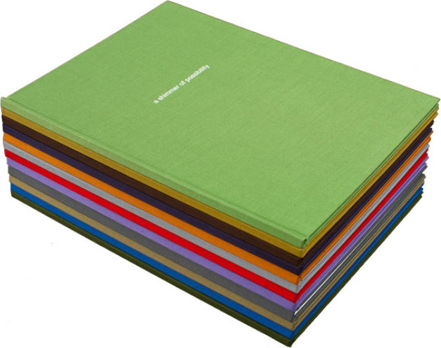 a shimmer of possibility (first edition)