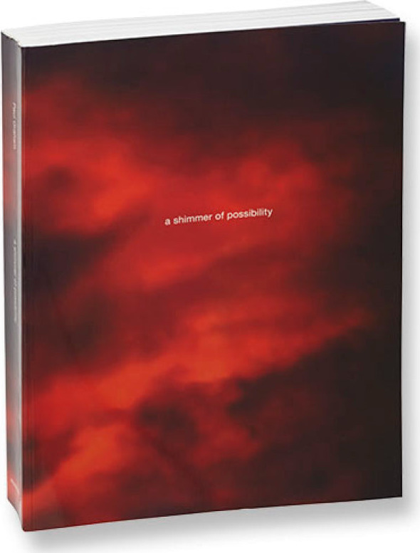 a shimmer of possibility (paperback)