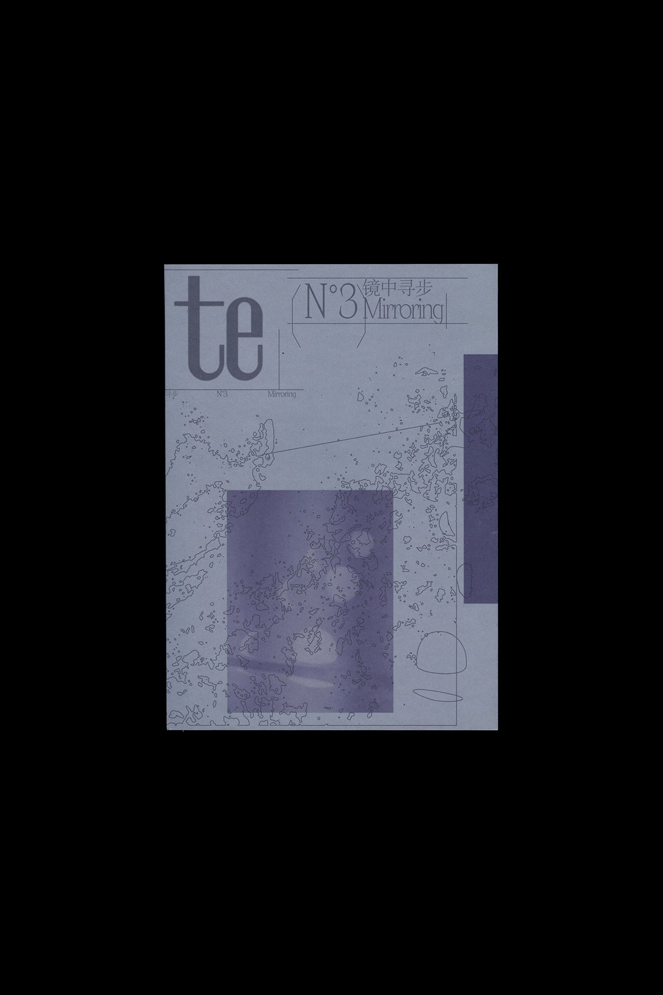 te issue 3: Mirroring